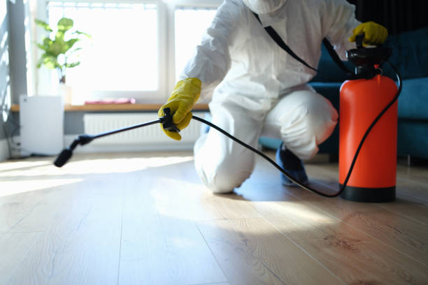 Reliable Odor Removal contractor in Cross, SC by Trauma Clean Pros